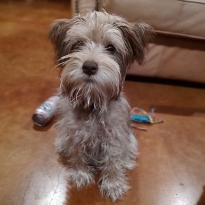 Meet your Posher, Christy